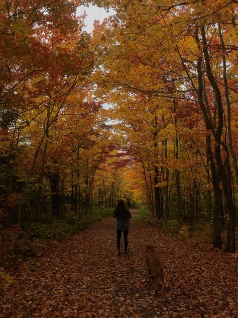 Embracing Autumn: 6 Wellness Activities to Keep You Healthy and Happy This Fall